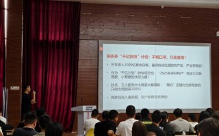 拼多多发布Q1财报，加速推进“千亿扶持”新战略，先商家后平台扶持产业生态
